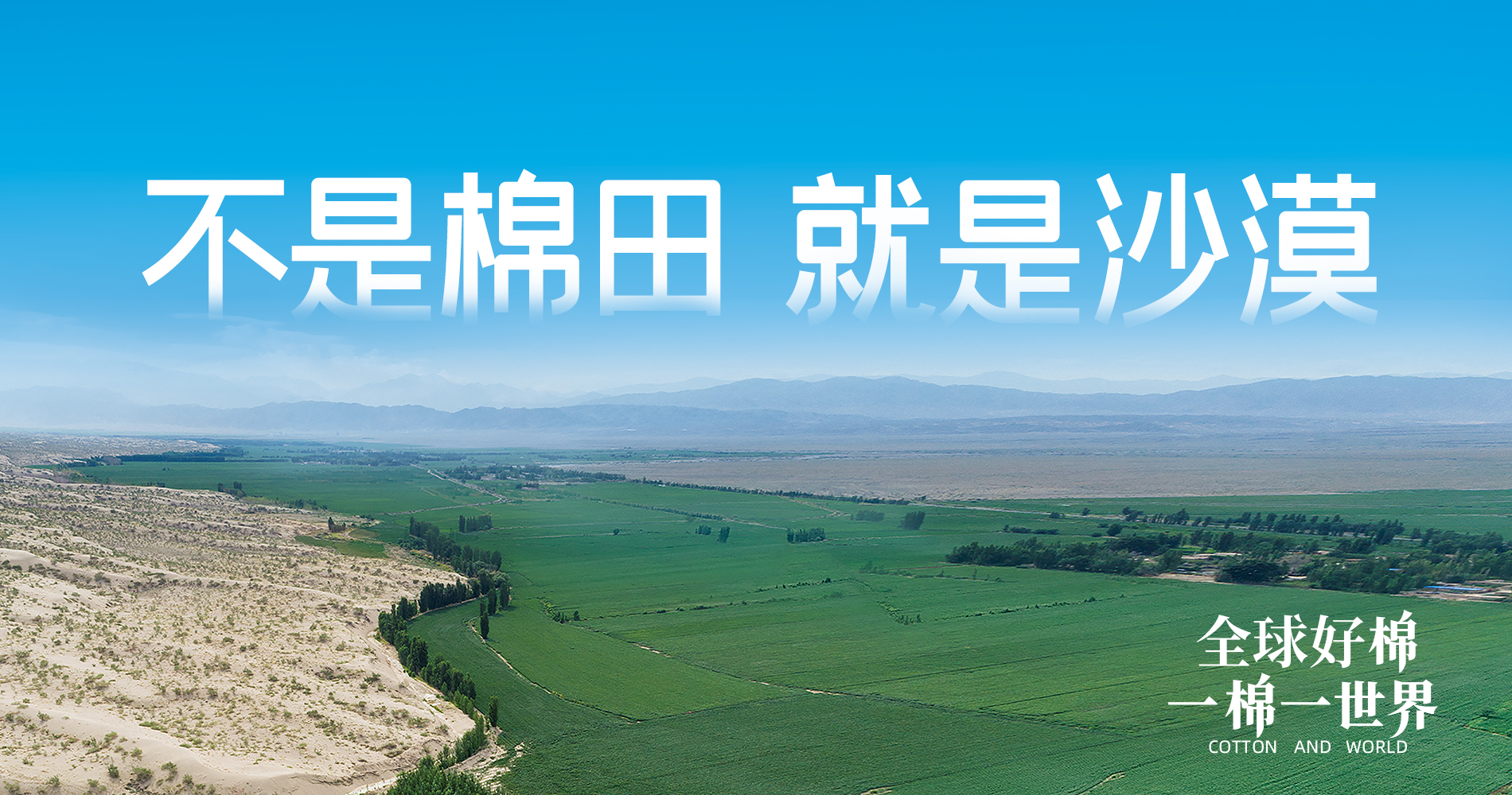 yl6809永利集团董事会多元化政策